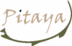 Pitaya logo 900 x 900